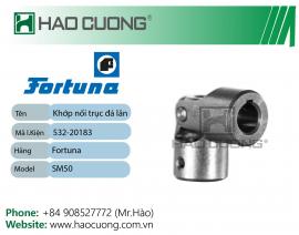 Khớp nối trục đá lăn